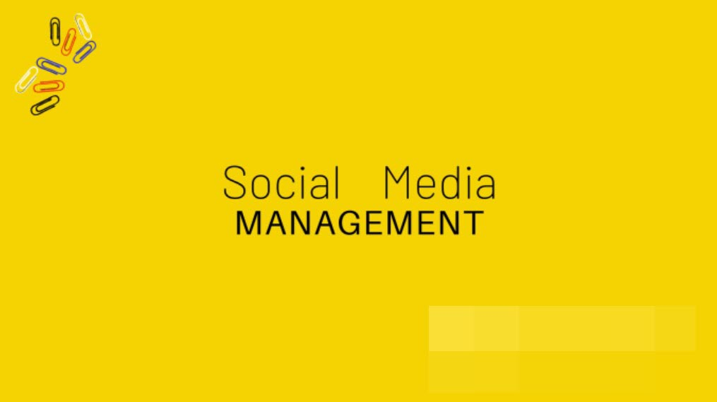 I will manage social media facebook instagram youtube for life coaches