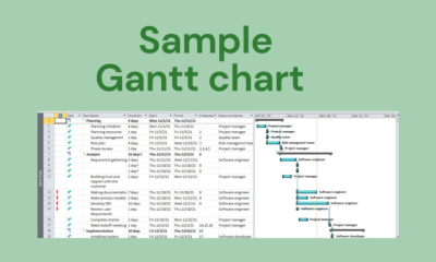 I will make gantt chart wbs structure network diagrams in ms project