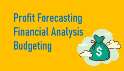 I will do budget and profit forecast of your business