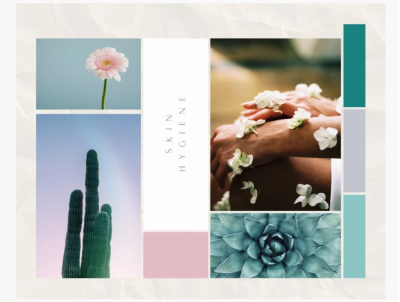 I will curate a colour palette mood board for your brand