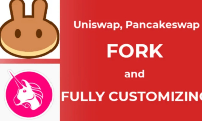 I will fork pancakeswap uniswap sushiswap on various network dex defi
