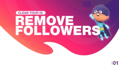I will remove ghost, fake, bot followers from your instagram account safely