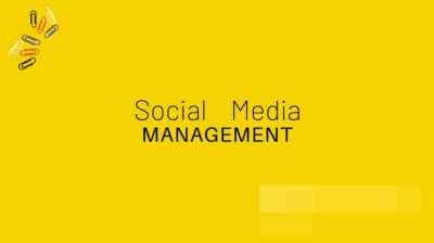 I will manage social media facebook instagram youtube for life coaches