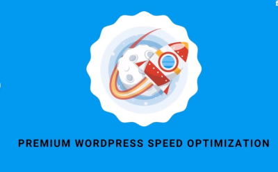 I will speed up wordpress with gtmetrix and pagespeed insight