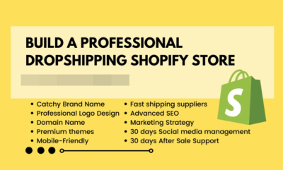 I will build a professional dropshipping shopify store